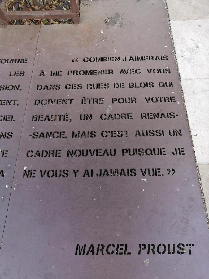 Au Fil De Loire Leilighet Blois Eksteriør bilde